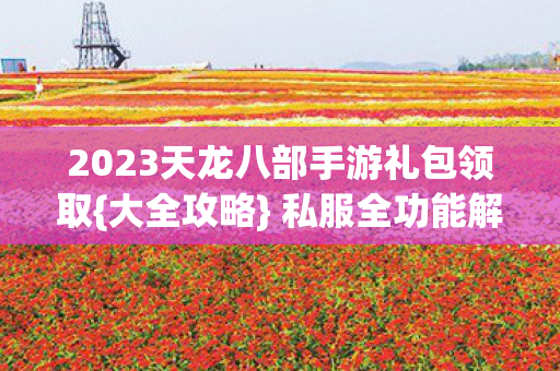 2023天龙八部手游礼包领取图片