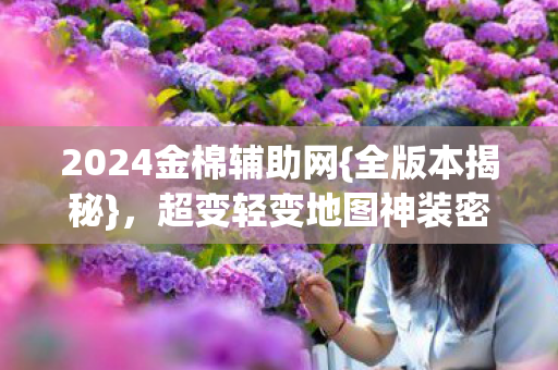 2024金棉辅助网{全版本揭秘}，超变轻变地图神装密码