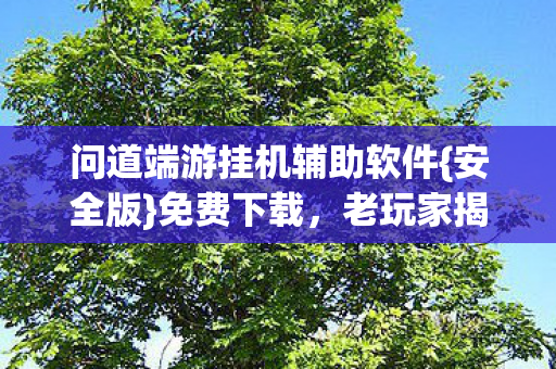 问道端游挂机辅助软件{安全版}免费下载，老玩家揭秘避坑指南！