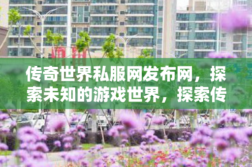 传奇世界私服网发布网,探索未知的游戏世界,探索传奇世界私服网,解锁未知游戏世界的奥秘 传奇世界私服网发布网,探索未知的游戏世界,探索传奇世界私服网,解锁未知游戏世界的奥秘