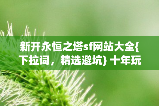新开永恒之塔sf网站大全图片
