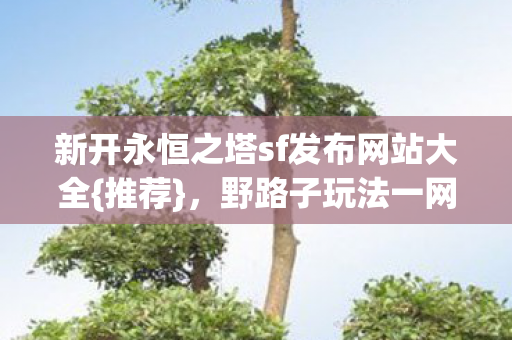 新开永恒之塔sf发布网站大全图片