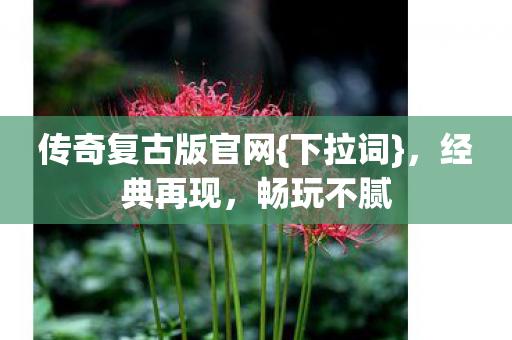 传奇复古版官网图片