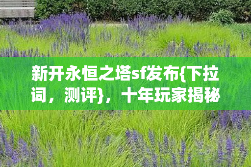 新开永恒之塔sf发布图片