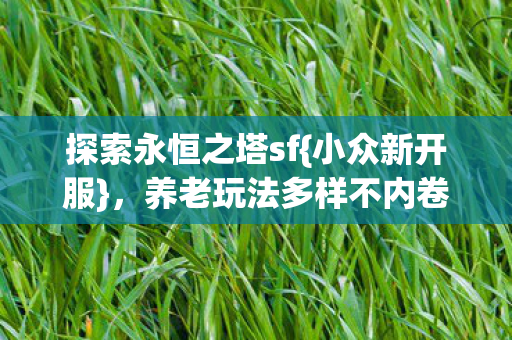 养老玩法多样不内卷图片