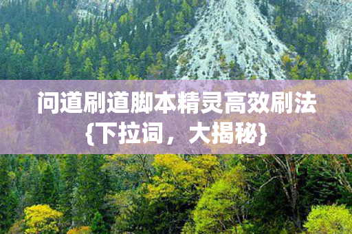 问道刷道脚本精灵高效刷法{下拉词，大揭秘}