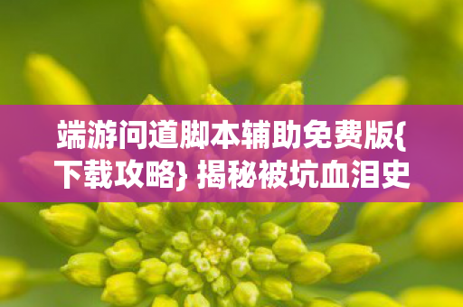 端游问道脚本辅助免费版{下载攻略} 揭秘被坑血泪史 端游问道脚本辅助免费版{下载攻略} 揭秘被坑血泪史