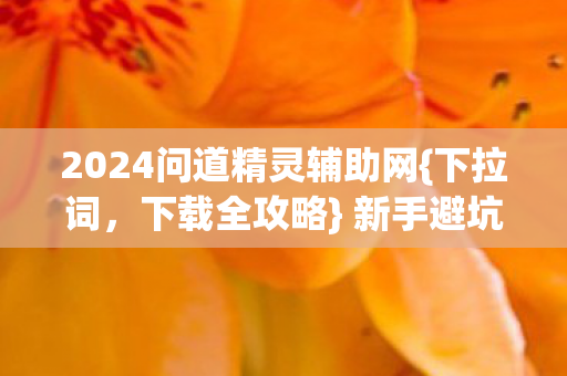 2024问道精灵辅助网{下拉词，下载全攻略} 新手避坑装备宠物详解