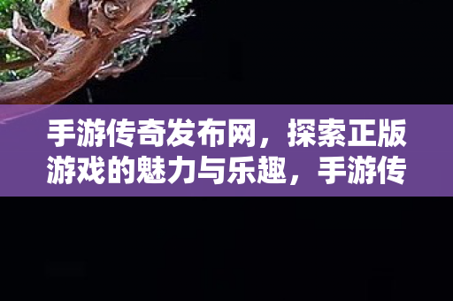 手游传奇发布网，探索正版游戏的魅力与乐趣，手游传奇发布网，探索正版游戏的魅力与乐趣