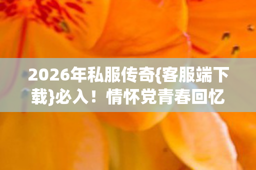 2026年私服传奇{客服端下载}必入！情怀党青春回忆认证服