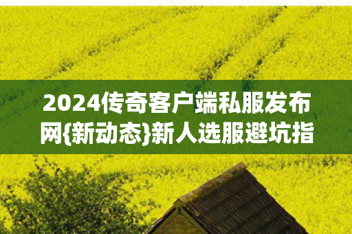 2024传奇客户端私服发布网{新动态}新人选服避坑指南