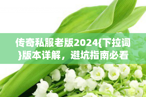 传奇私服老版2024{下拉词}版本详解，避坑指南必看