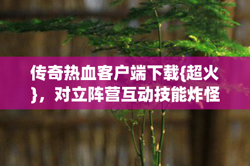 传奇热血客户端下载{超火}，对立阵营互动技能炸怪超带感