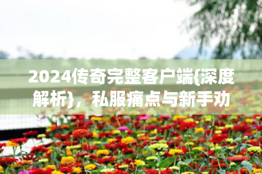 2024传奇完整客户端{深度解析}，私服痛点与新手劝退点