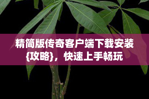 精简版传奇客户端下载安装{攻略}，快速上手畅玩