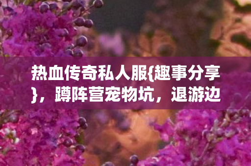 热血传奇私人服{趣事分享}，蹲阵营宠物坑，退游边缘那些年