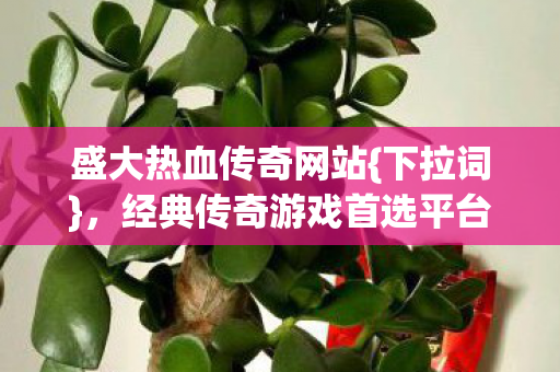 经典传奇游戏首选平台图片