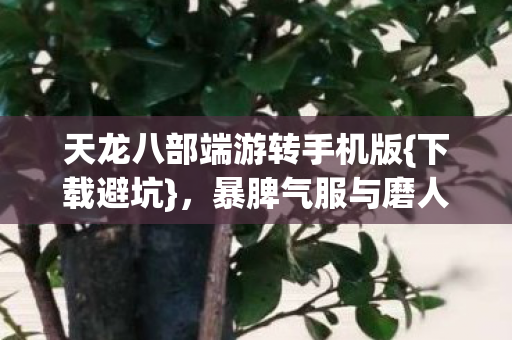天龙八部端游转手机版图片