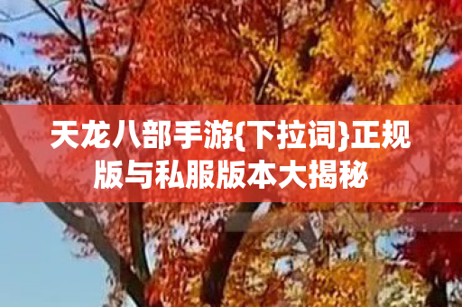 正规版与私服版本大揭秘图片