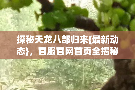 官服官网首页全揭秘图片