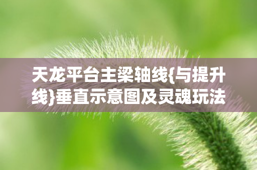 天龙平台主梁轴线{与提升线}垂直示意图及灵魂玩法解析