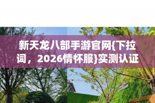 新天龙八部手游官网图片