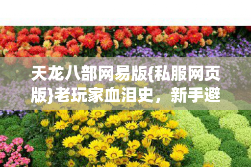 天龙八部网易版{私服网页版}老玩家血泪史,新手避雷指南 天龙八部网易版{私服网页版}老玩家血泪史,新手避雷指南