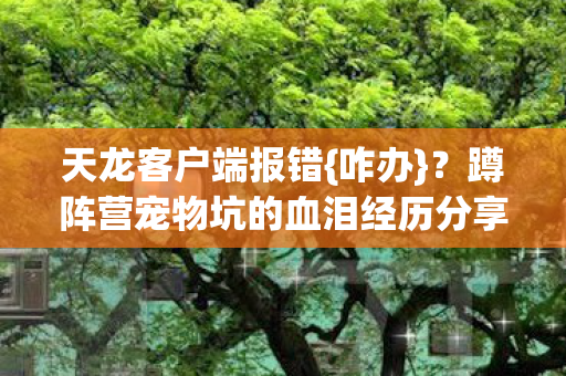 天龙客户端报错{咋办}？蹲阵营宠物坑的血泪经历分享