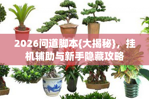 挂机辅助与新手隐藏攻略图片