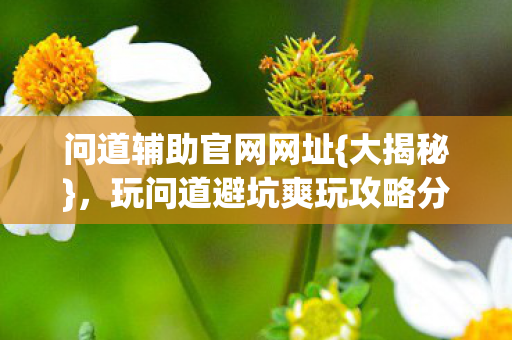 问道辅助官网网址{大揭秘}，玩问道避坑爽玩攻略分享