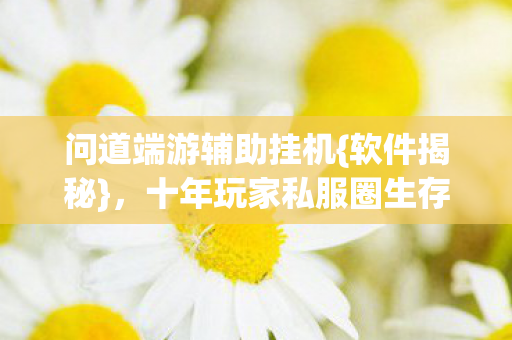 问道端游辅助挂机{软件揭秘}，十年玩家私服圈生存法则