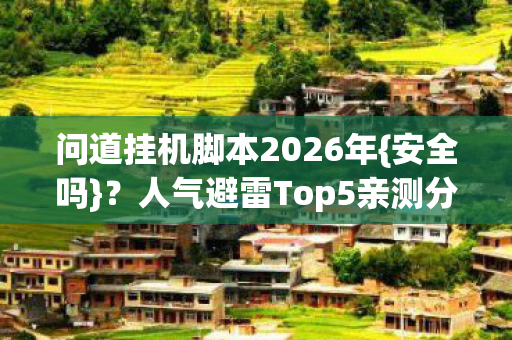 问道挂机脚本2026年{安全吗}？人气避雷Top5亲测分享