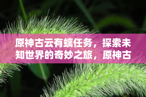 原神古云有螭任务，探索未知世界的奇妙之旅，原神古云有螭，探索未知世界的奇妙冒险