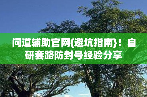 自研套路防封号经验分享图片