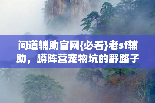 蹲阵营宠物坑的野路子图片