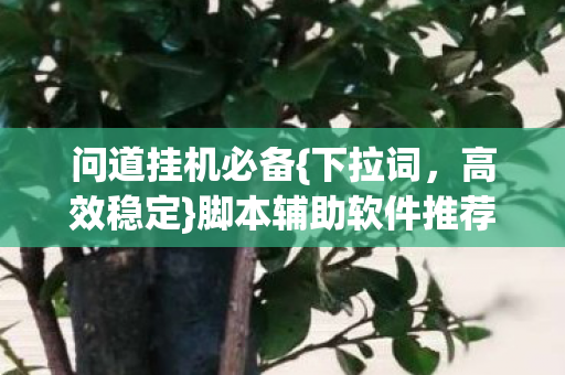 问道挂机必备{下拉词,高效稳定}脚本辅助软件推荐 问道挂机必备{下拉词,高效稳定}脚本辅助软件推荐