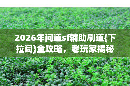 2026年问道sf辅助刷道{下拉词}全攻略,老玩家揭秘装备技能 2026年问道sf辅助刷道{下拉词}全攻略,老玩家揭秘装备技能