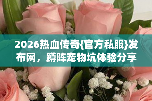 2026热血传奇{官方私服}发布网,蹲阵宠物坑体验分享 2026热血传奇{官方私服}发布网,蹲阵宠物坑体验分享