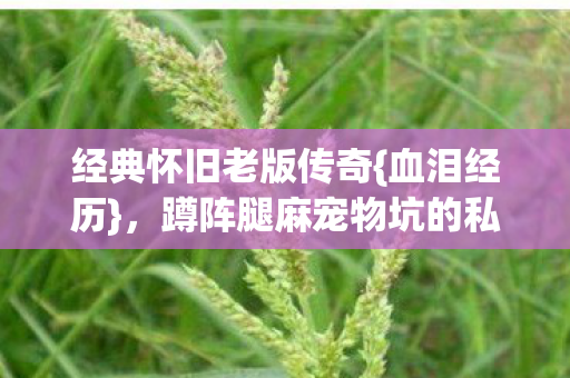 经典怀旧老版传奇{血泪经历}，蹲阵腿麻宠物坑的私服往事