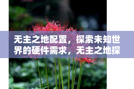 无主之地配置，探索未知世界的硬件需求，无主之地探索未知世界的硬件需求，打造顶级配置