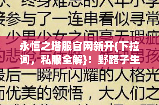永恒之塔服官网新开图片