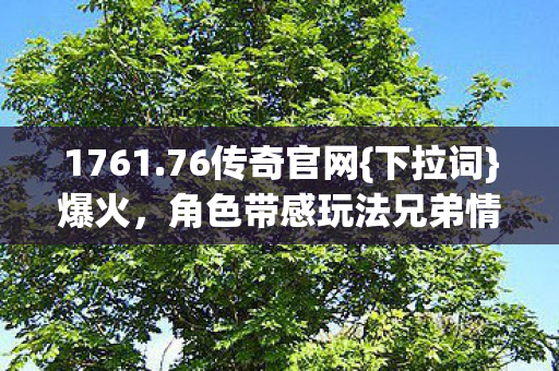1761.76传奇官网{下拉词}爆火，角色带感玩法兄弟情深