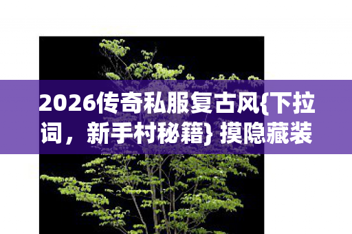 2026传奇私服复古风{下拉词，新手村秘籍} 摸隐藏装备超值