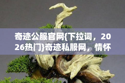 奇迹公服官网{下拉词,2026热门}奇迹私服网,情怀玩家选服实测指南 奇迹公服官网{下拉词,2026热门}奇迹私服网,情怀玩家选服实测指南
