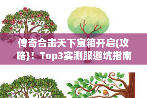 传奇合击天下宝箱开启{攻略}！Top3实测服避坑指南