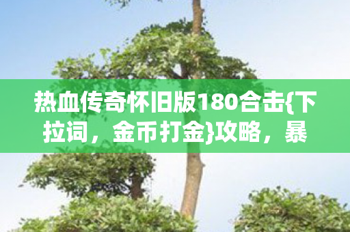 热血传奇怀旧版180合击图片