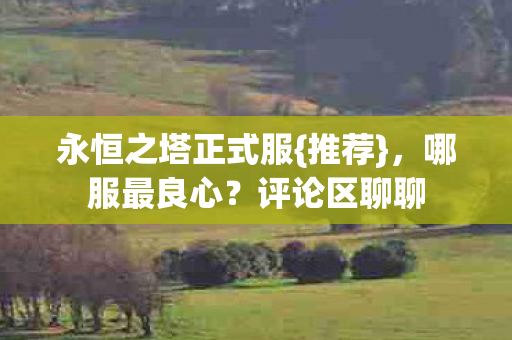 永恒之塔正式服图片