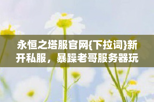暴躁老哥服务器玩法超野图片