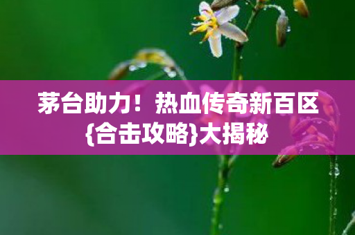 茅台助力!热血传奇新百区{合击攻略}大揭秘 茅台助力!热血传奇新百区{合击攻略}大揭秘
