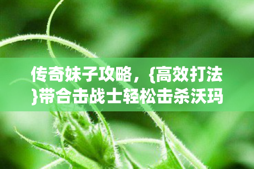 传奇妹子攻略，{高效打法}带合击战士轻松击杀沃玛教主